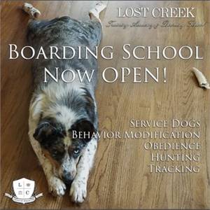 Lost Creek Training Academy & Boarding School